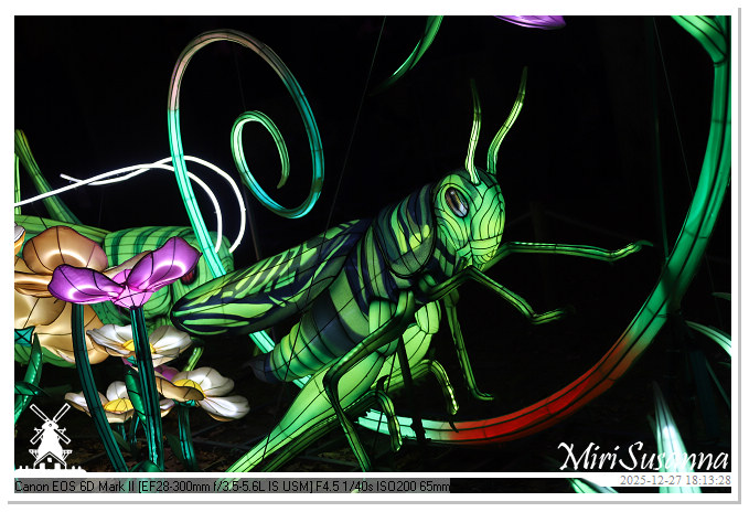 Ouwehand Light Night 2025 IMG_4177