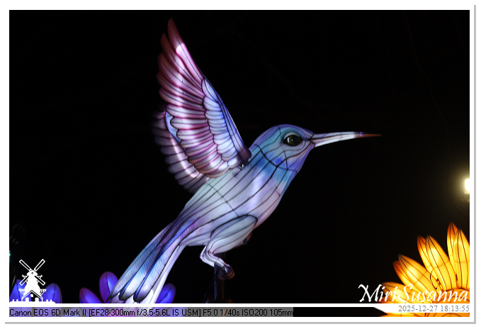 Ouwehand Light Night 2025 IMG_4178