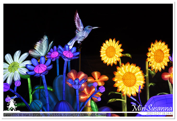 Ouwehand Light Night 2025 IMG_4180