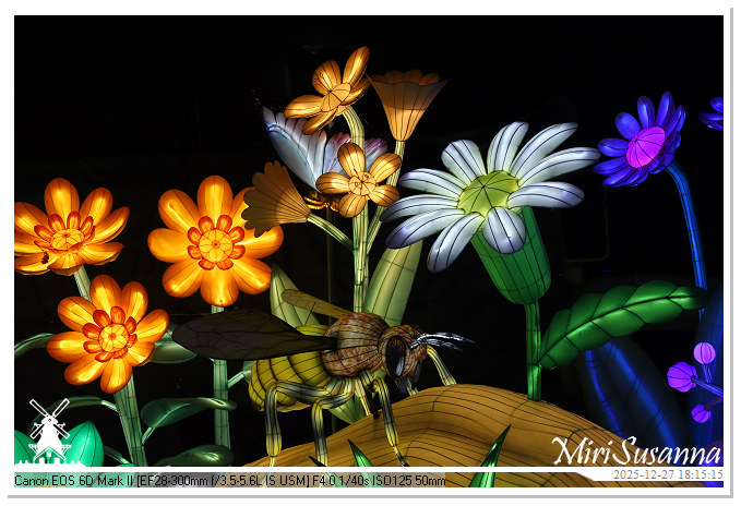 Ouwehand Light Night 2025 IMG_4181