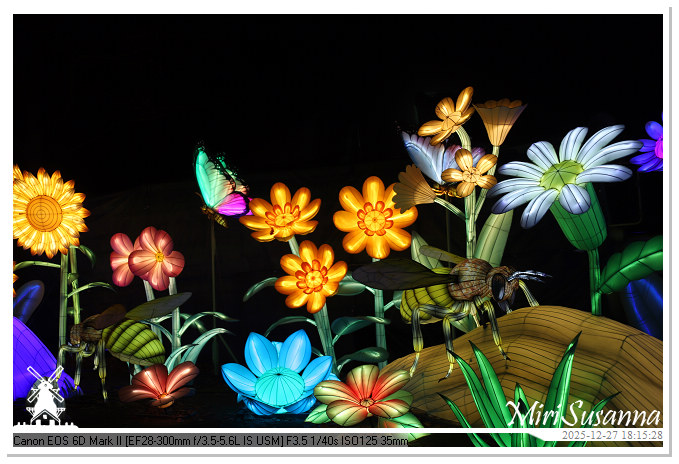 Ouwehand Light Night 2025 IMG_4182