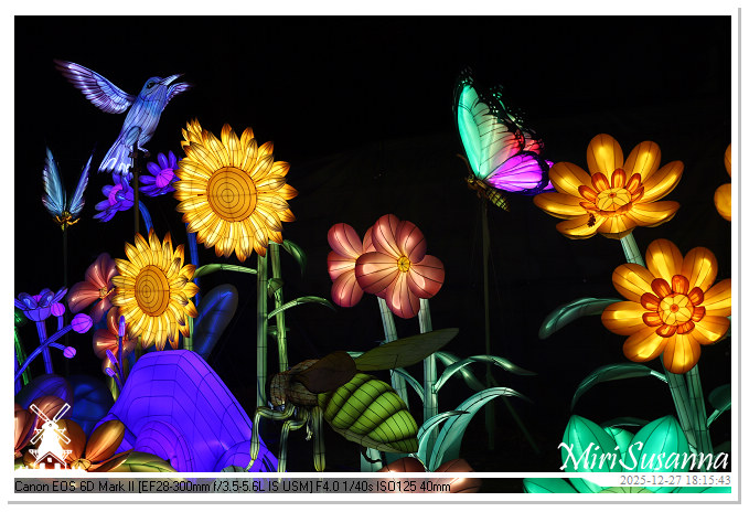 Ouwehand Light Night 2025 IMG_4183