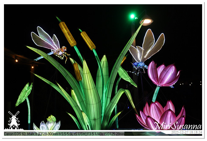 Ouwehand Light Night 2025 IMG_4186