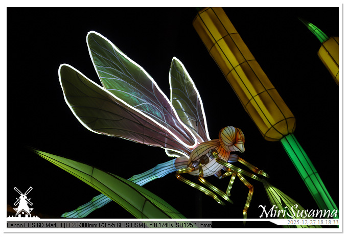 Ouwehand Light Night 2025 IMG_4187