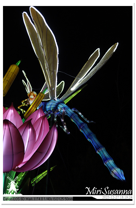 Ouwehand Light Night 2025 IMG_4190