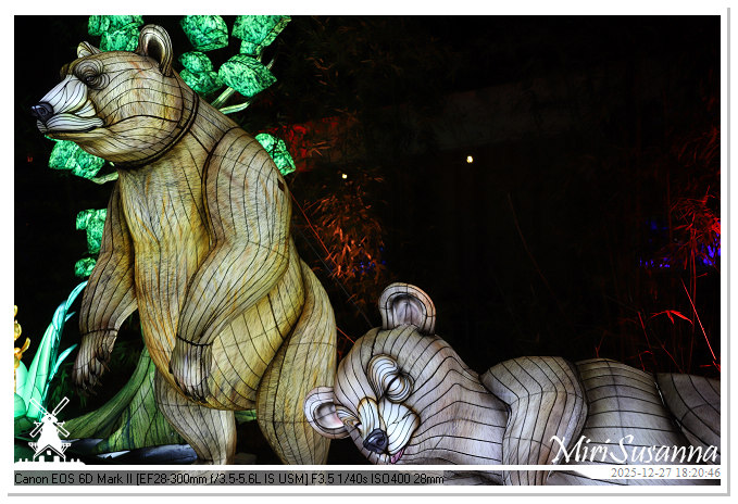 Ouwehand Light Night 2025 IMG_4192