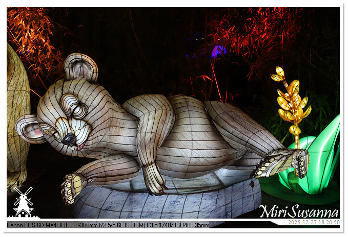 Ouwehand Light Night 2025 IMG_4193