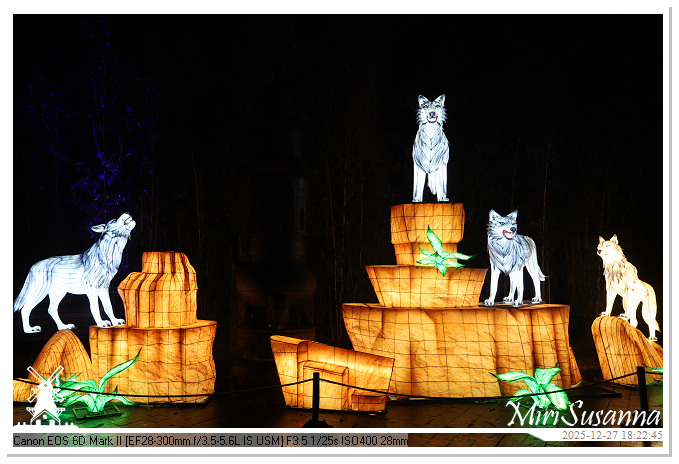 Ouwehand Light Night 2025 IMG_4199