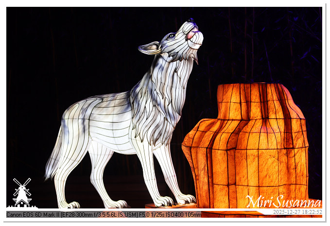 Ouwehand Light Night 2025 IMG_4200