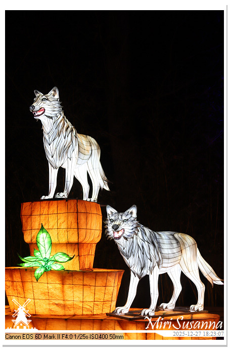 Ouwehand Light Night 2025 IMG_4201