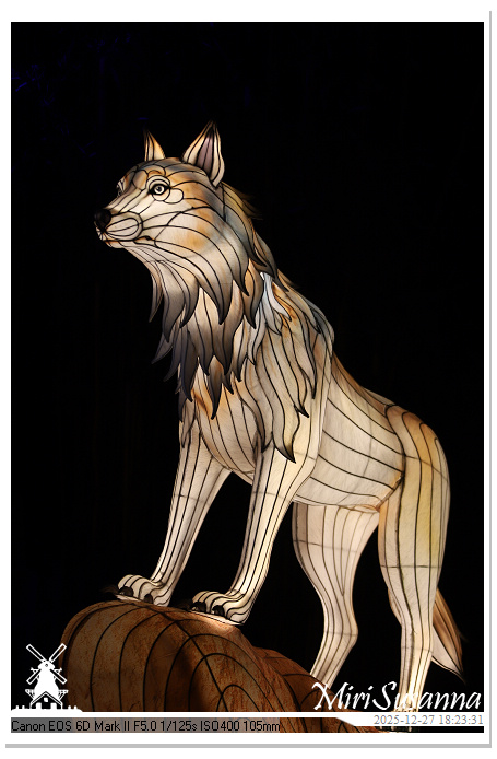 Ouwehand Light Night 2025 IMG_4203