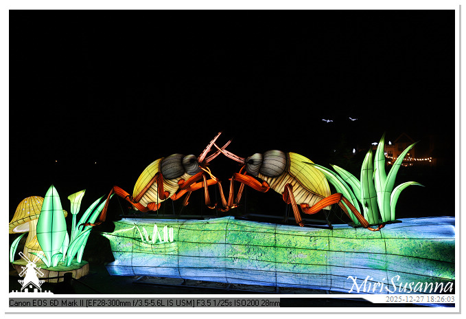 Ouwehand Light Night 2025 IMG_4209