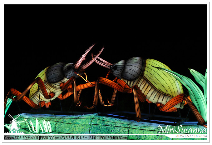 Ouwehand Light Night 2025 IMG_4212