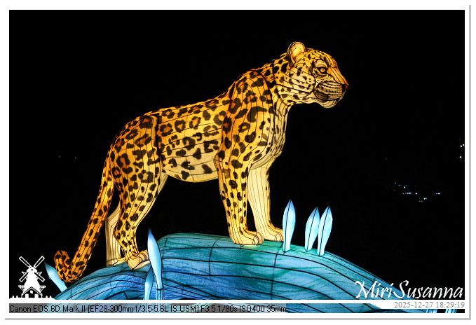 Ouwehand Light Night 2025 IMG_4216