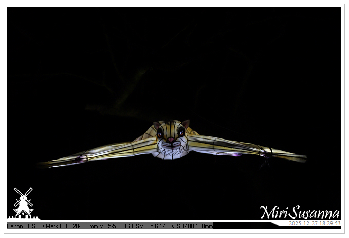 Ouwehand Light Night 2025 IMG_4217