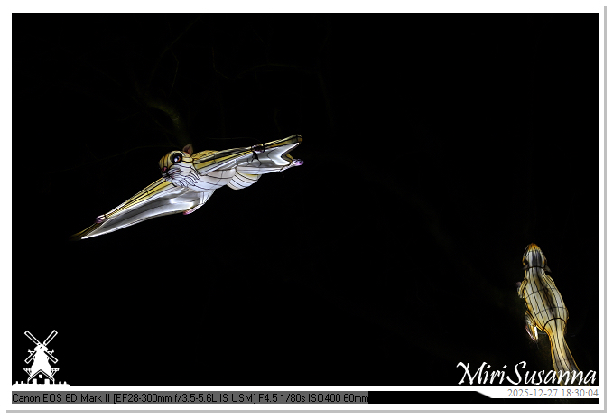 Ouwehand Light Night 2025 IMG_4218