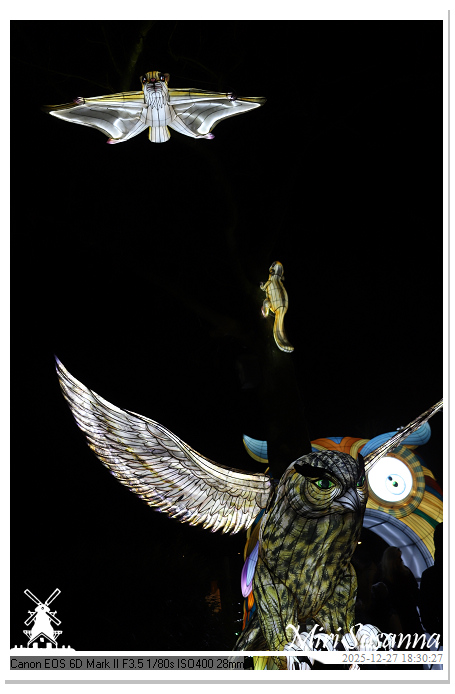 Ouwehand Light Night 2025 IMG_4220