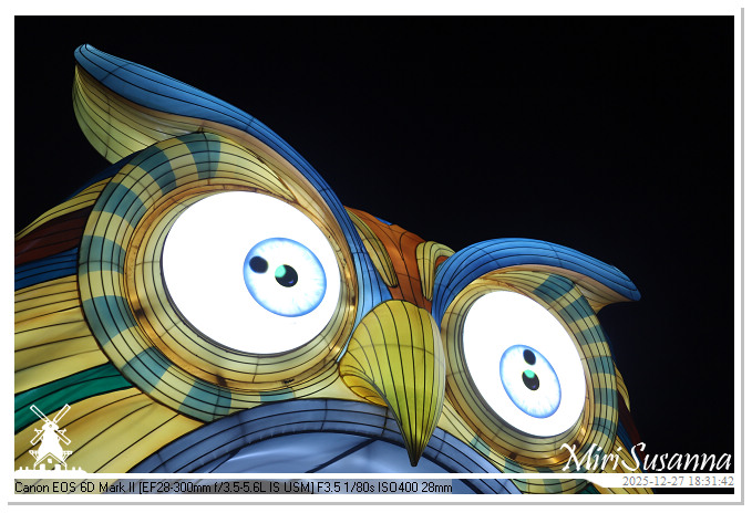 Ouwehand Light Night 2025 IMG_4223