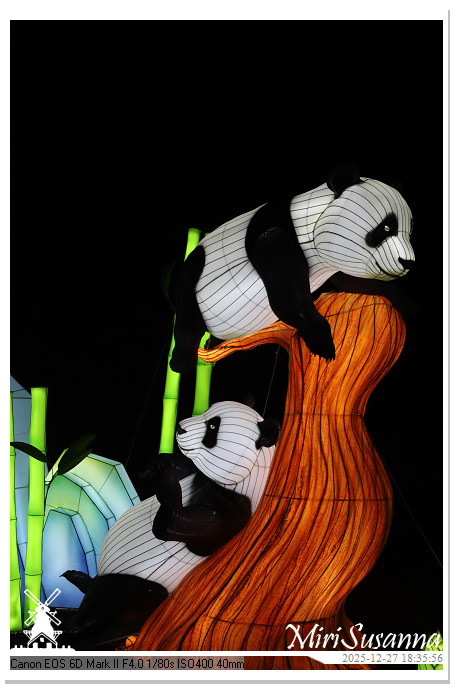 Ouwehand Light Night 2025 IMG_4225