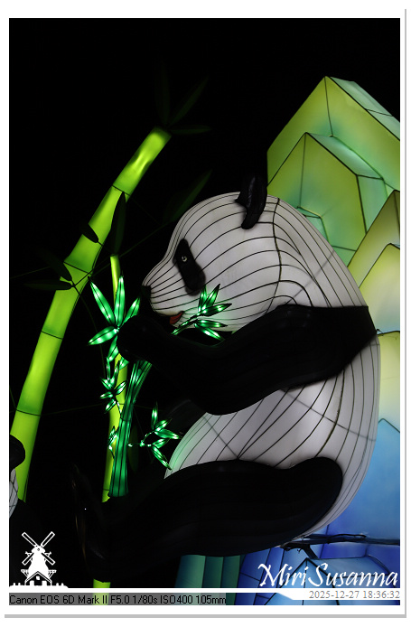 Ouwehand Light Night 2025 IMG_4229