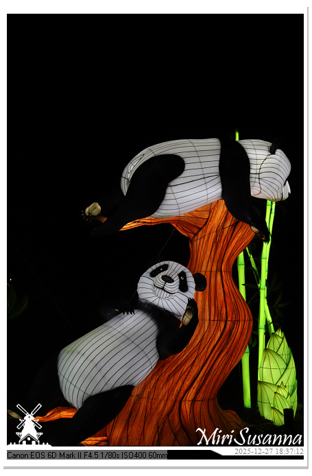 Ouwehand Light Night 2025 IMG_4231