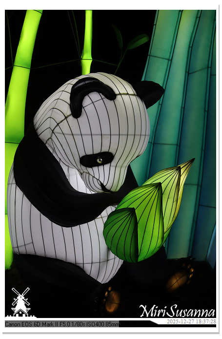 Ouwehand Light Night 2025 IMG_4233