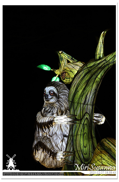 Ouwehand Light Night 2025 IMG_4237