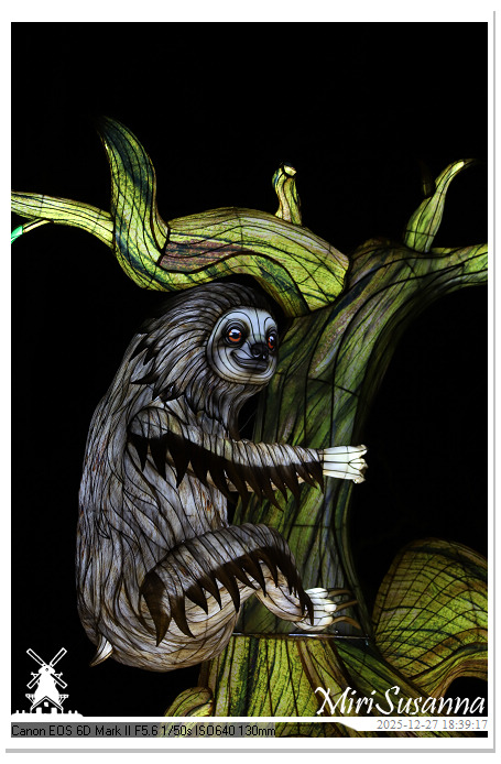 Ouwehand Light Night 2025 IMG_4238