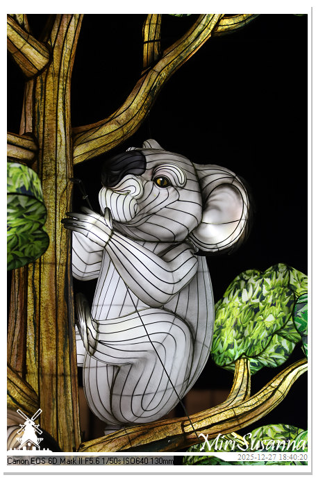 Ouwehand Light Night 2025 IMG_4239