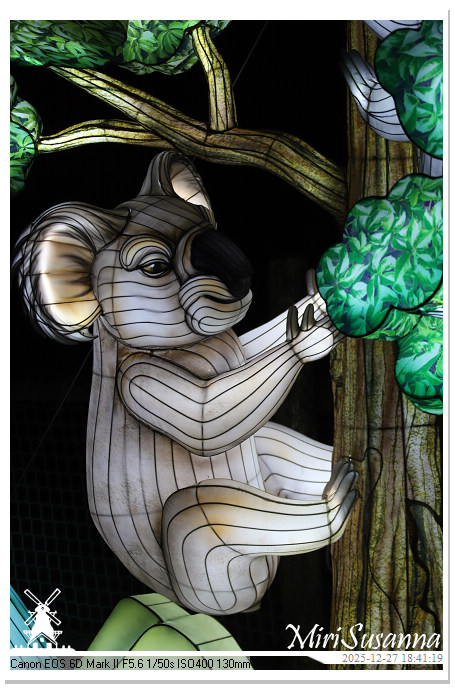 Ouwehand Light Night 2025 IMG_4243