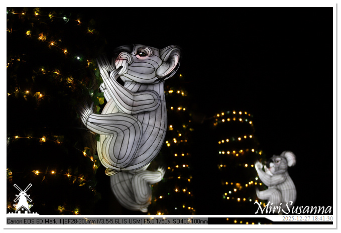 Ouwehand Light Night 2025 IMG_4244