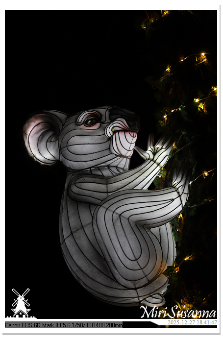 Ouwehand Light Night 2025 IMG_4245