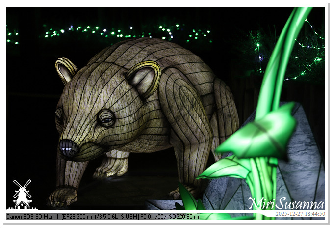 Ouwehand Light Night 2025 IMG_4251