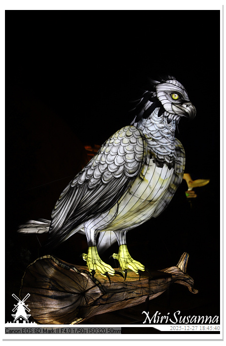 Ouwehand Light Night 2025 IMG_4252