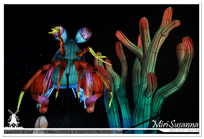 Ouwehand Light Night 2025 IMG_4260