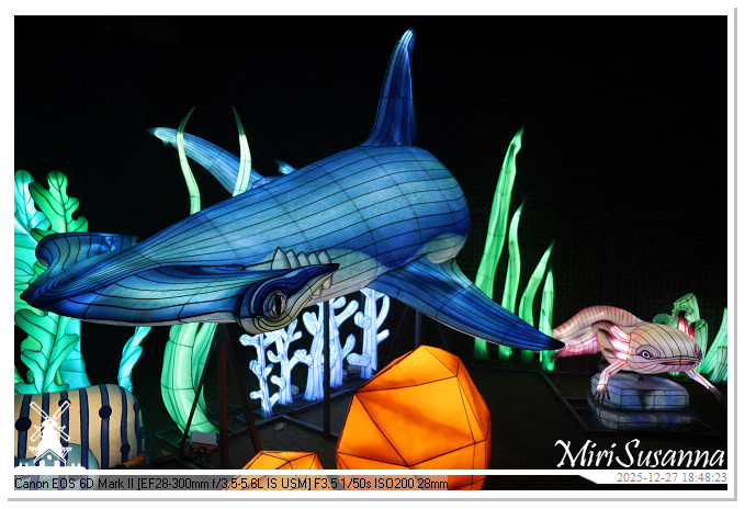 Ouwehand Light Night 2025 IMG_4262