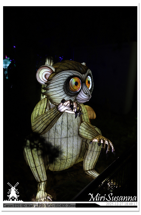 Ouwehand Light Night 2025 IMG_4264