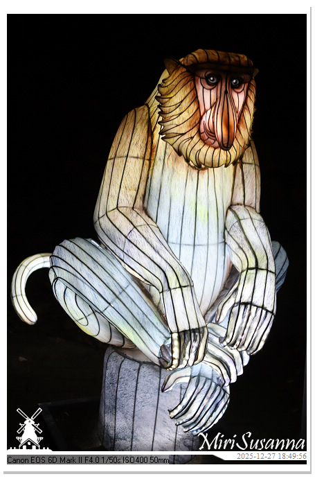 Ouwehand Light Night 2025 IMG_4266