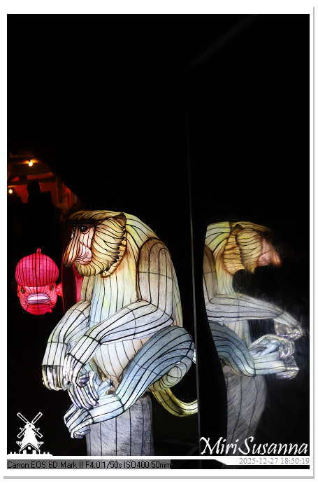 Ouwehand Light Night 2025 IMG_4268