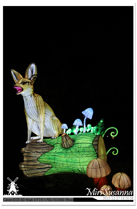 Ouwehand Light Night 2025 IMG_4269