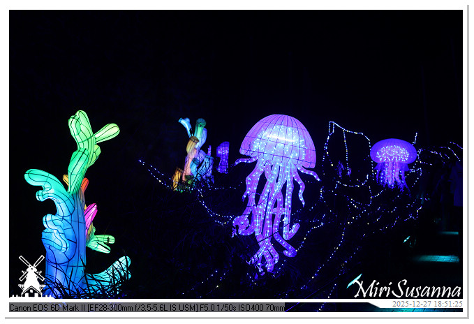 Ouwehand Light Night 2025 IMG_4272