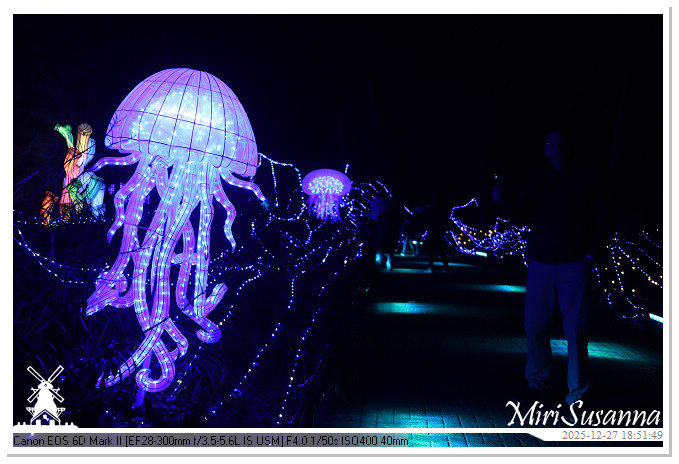 Ouwehand Light Night 2025 IMG_4274