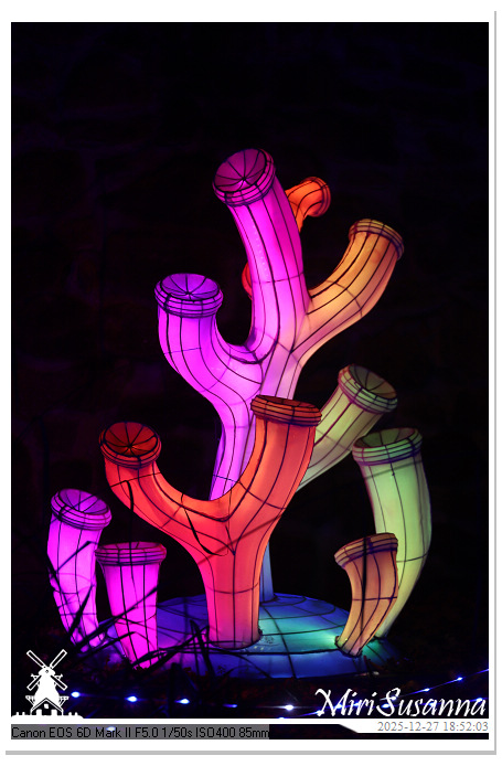 Ouwehand Light Night 2025 IMG_4275