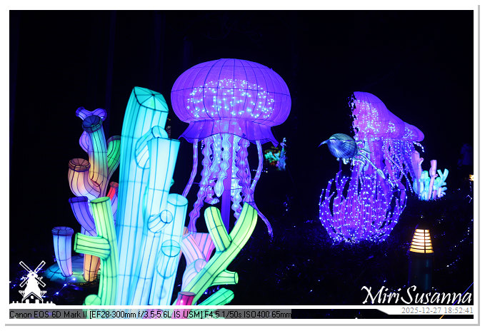 Ouwehand Light Night 2025 IMG_4277