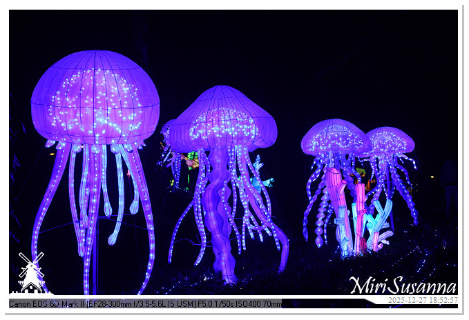 Ouwehand Light Night 2025 IMG_4278