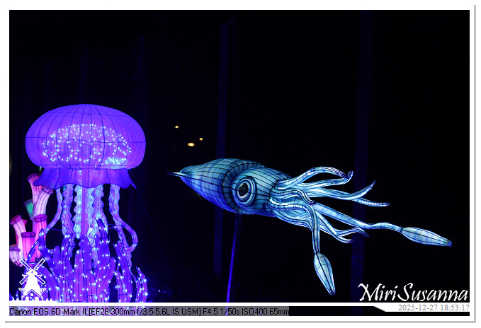 Ouwehand Light Night 2025 IMG_4279