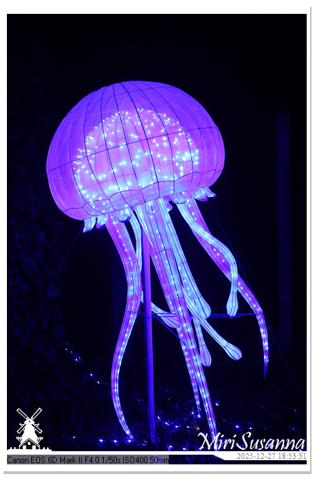 Ouwehand Light Night 2025 IMG_4280