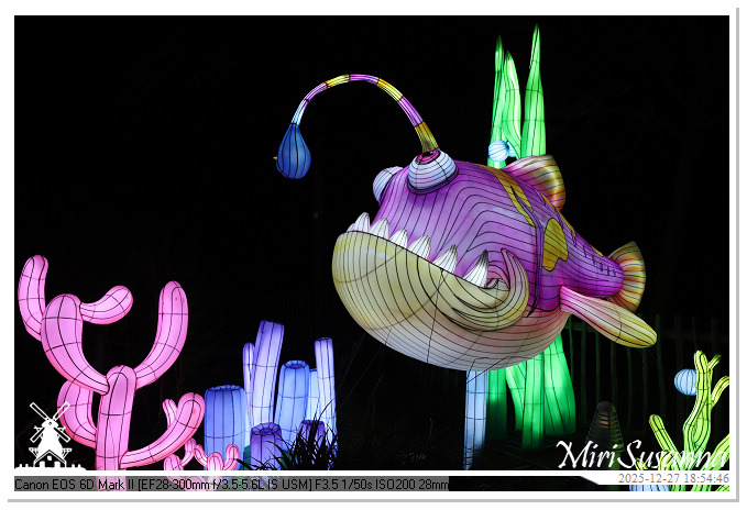 Ouwehand Light Night 2025 IMG_4282