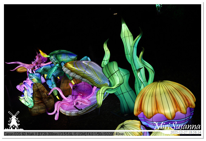 Ouwehand Light Night 2025 IMG_4286