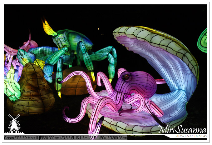 Ouwehand Light Night 2025 IMG_4289